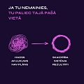 No haosa līdz rezultātiem