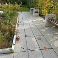 LAT SLABS produkcija