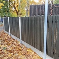 Žogs