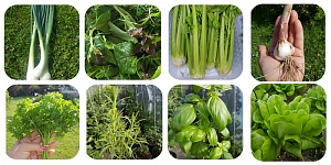 Produkti