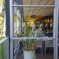 Pergolas un markīzes