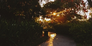 Apbedīšanas, bēru un kremācijas procesa organizēšana