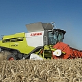 Labības kombains Claas Lexion