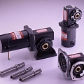 Worm Gear Motor