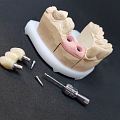 Dental Medical