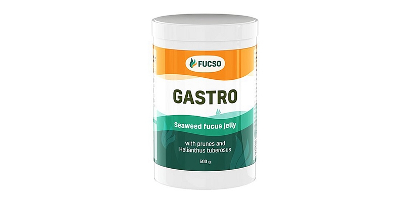 FUCSO GASTRO