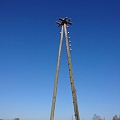 Arboristu pakalpojumi