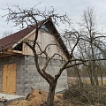 Arborista pakalpojumi