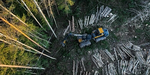 Meža apsaimniekošana