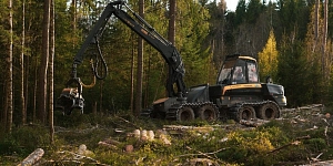 Meža īpašumu pirkšana