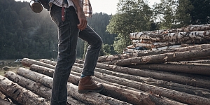 Zāģbaļķu iepirkšana