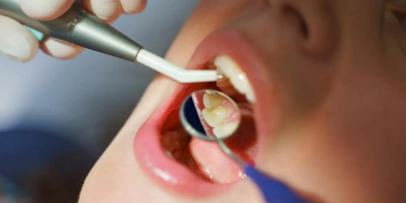 DANA DENTAL, SIA cenas