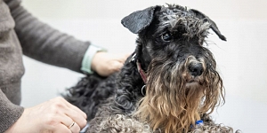 Klīnikas aprīkojums