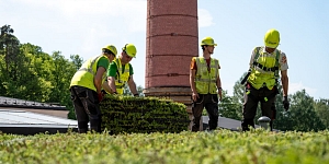 Zaļie jumti