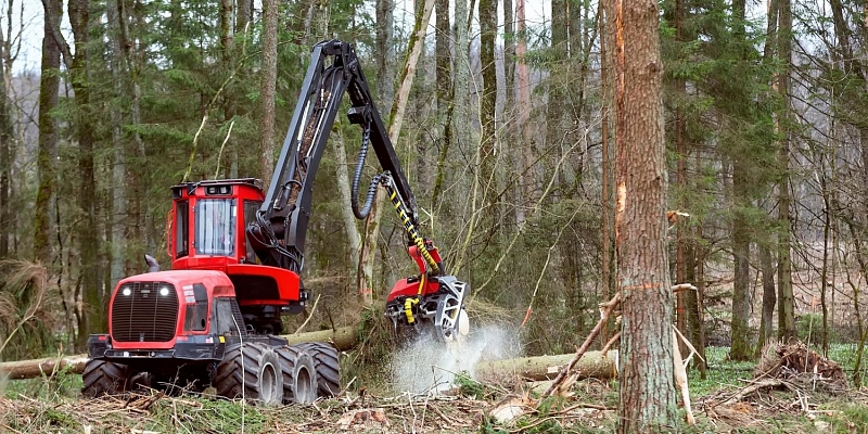 Cirsmu un mežu iepirkšana