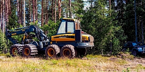 Meža apsaimniekošana