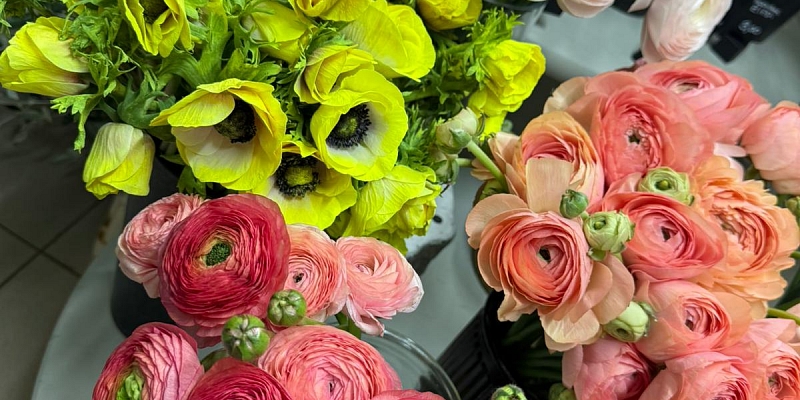 Ziedu kompozīcijas un floristika