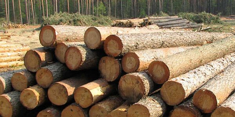 Kokmateriālu iepirkšana