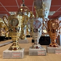 Trofejas