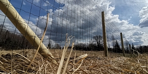 LAUKSAIMNIECĪBAS ŽOGS