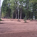 Laukuma līdzināšana