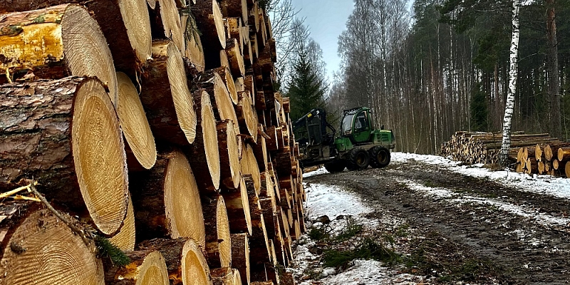 Kokmateriālu realizācija