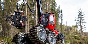 Mežizstrādes pakalpojumi