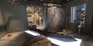 Veikto darbu galerija