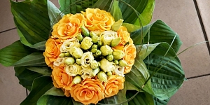 Floristika
