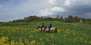 Pakalpojumi