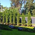 Apstādījumu uzturēšana