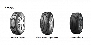 Riepas