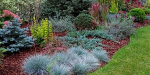 Labiekārtošana un apzaļumošana