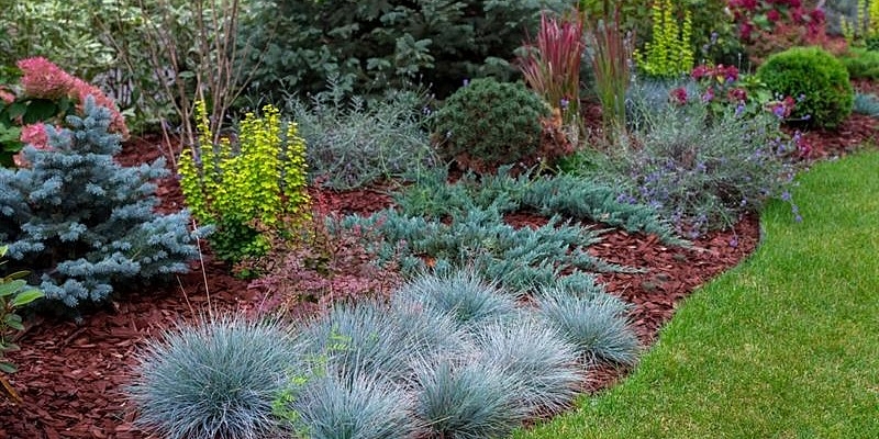 Labiekārtošana un apzaļumošana