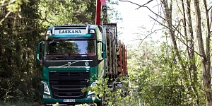 Kokmateriālu iepirkšana