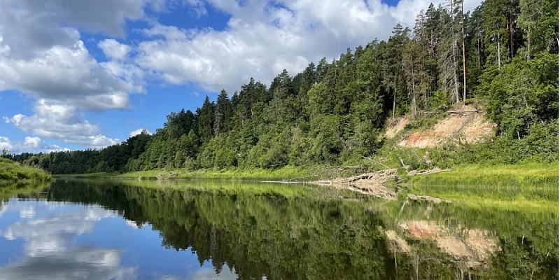 Laivu noma