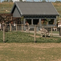 Sigulda Zoo