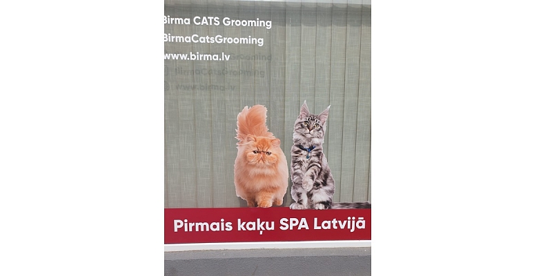 Kaķu SPA procedūras