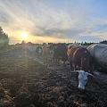 Pagaidu ceļa plākšņu sistēma