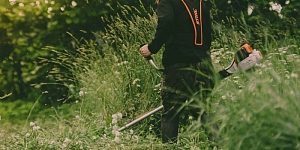 Zāliena pļaušana