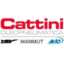 CATTINI