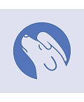 VITA COMITE MEDICUS, SIA