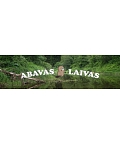 Abavas laivas, laivu noma