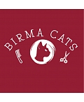 Birma CATS, Pirmais kaķu SPA salons LATVIJĀ